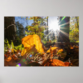 Personal Carpe Diem glänzende farbenfrohe Blätter  Poster