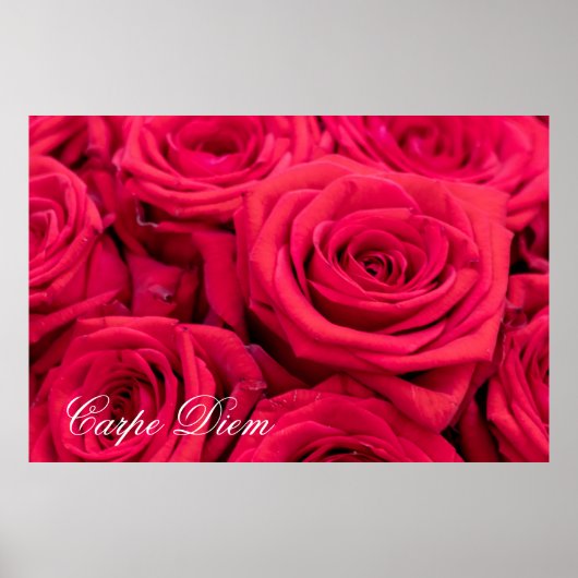 Personalisierbare Karpfen mit rote Rosen Poster (Vorne)