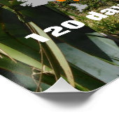 Personalisierbarer Aroroa Poster (Ecke)