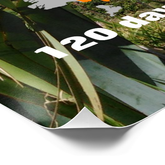 Personalisierbarer Aroroa Poster (Ecke)