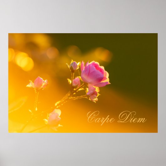 Personalisierbarer Carpe Diem mit schöner Rose! Poster (Vorne)