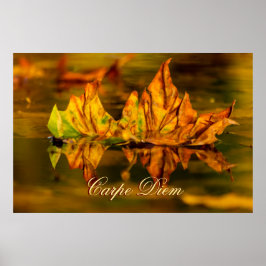 Personalisierbarer Karpfen-Diem mit bunten Blätter Poster