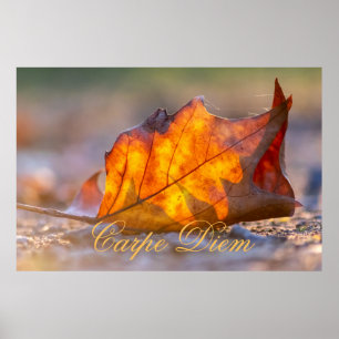 Personalisierbarer Karpfen-Diem mit bunten Blätter Poster