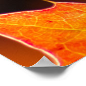 Personalisierbarer Karpfen-Diem mit bunten Blätter Poster (Ecke)