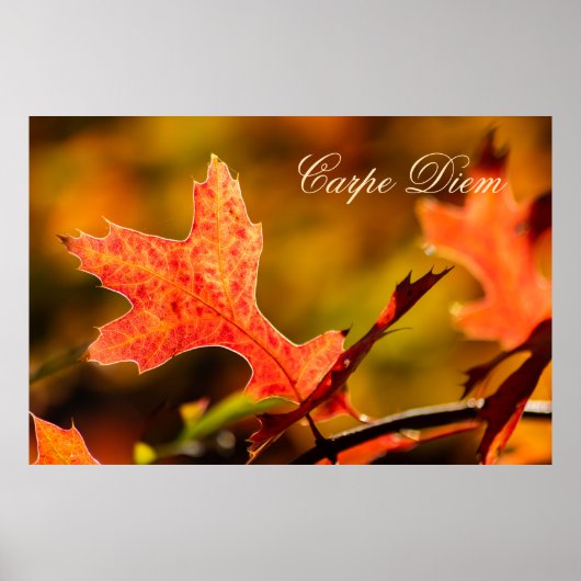 Personalisierbarer Karpfen-Diem mit bunten Blätter Poster (Vorne)