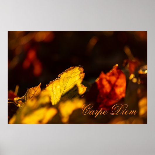 Personalisierbarer Karpfen-Diem mit bunten Blätter Poster (Vorne)