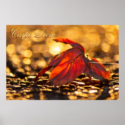 Personalisierbarer Karpfen-Diem mit bunten Blätter Poster (Vorne)