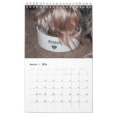 Personalisiere es! Cactus Cooler Pet Buddy Calenda Kalender (Jan 2026)