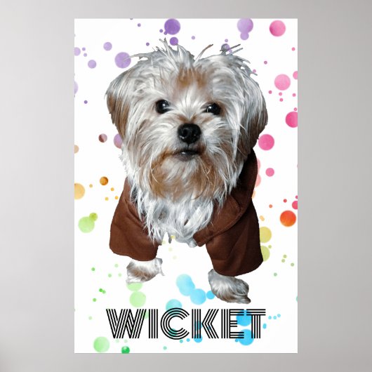 Personalisiere es! Farbiges Dot Pet Foto & Name Poster (Vorne)