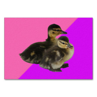 ** Personalisieren ** Babyenten auf rosa und Lila Tischnummer
