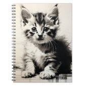 PERSONALISIEREN: Niedlich Kätzchen | Notebook-Jour Notizblock (Vorderseite)