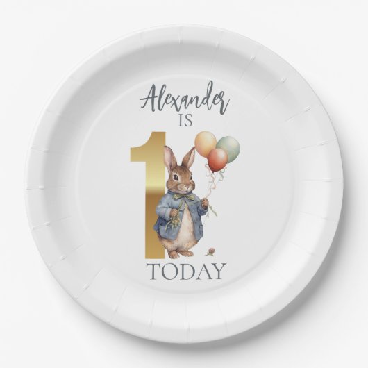 Personalisieren Peter das Kaninchen Erster Geburts Pappteller (Vorderseite)
