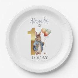 Personalisieren Peter das Kaninchen Erster Geburts Pappteller