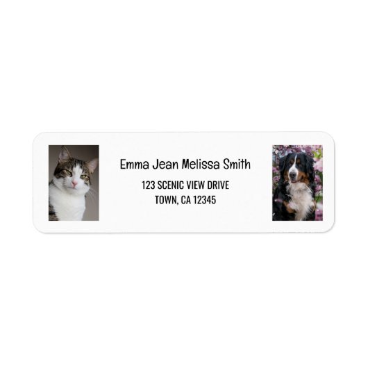 Personalisieren Sie 2 Fotos Katze Hund Moderne Rüc (Vorne)