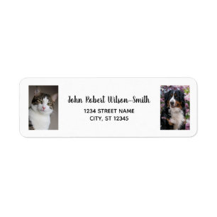 Personalisieren Sie 2 Fotos Katze Hund Moderne Rüc