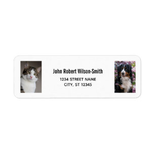 Personalisieren Sie 2 Fotos Katze Hund Moderne Rüc