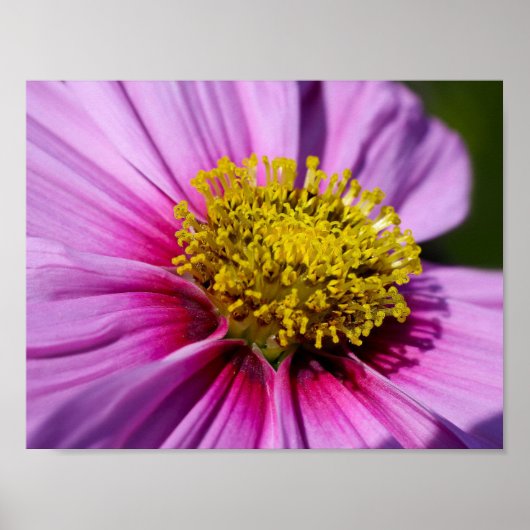 Personalisieren Sie das Schicksal von Anniversarie Poster (Vorne)