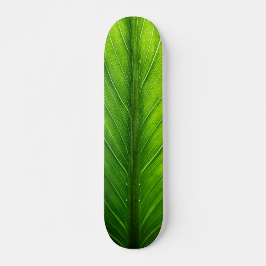 Personalisieren Sie das schöne grüne Blatt Skateboard (Vorne)