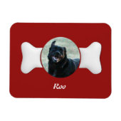 Personalisieren Sie den knochenförmigen Pet Keepak Magnet (Horizontal)