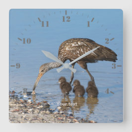 Personalisieren Sie den Limpkin-Vogel mit seinen d Quadratische Wanduhr
