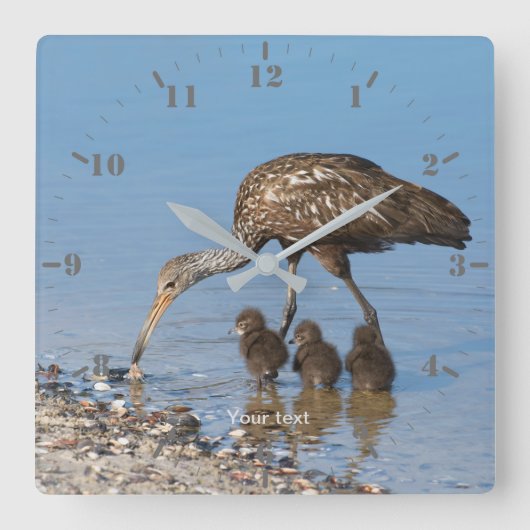 Personalisieren Sie den Limpkin-Vogel mit seinen d Quadratische Wanduhr (Vorderseite)