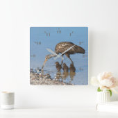 Personalisieren Sie den Limpkin-Vogel mit seinen d Quadratische Wanduhr (Zuhause)