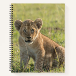 Personalisieren Sie den Namen African Lion Cub Spi Notizblock