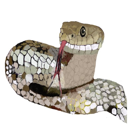 Personalisieren Sie den T - Shirt Schlangenumformu