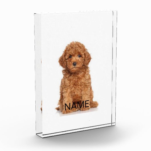 Personalisieren Sie die Personalisierung mit Foto, Fotoblock (Links)