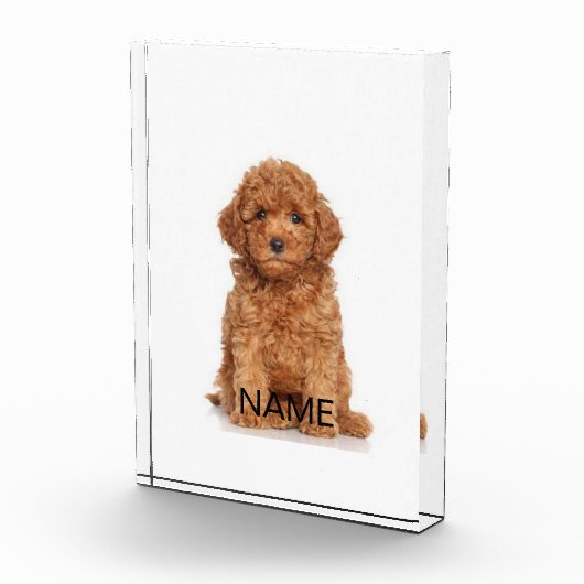 Personalisieren Sie die Personalisierung mit Foto, Fotoblock (Rechts)