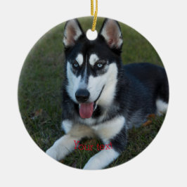 Personalisieren Sie die sibirische Husky-Welpe Keramik Ornament