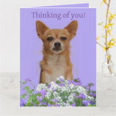 Personalisieren Sie Doggie mit der großen Karte "D (Gelbe Blume)