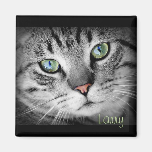 Personalisieren Sie ein Magnet mit Ihrem Lieblings (Vorne)