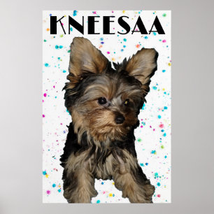 Personalisieren Sie es! Floral gesprenkeltes Haust Poster