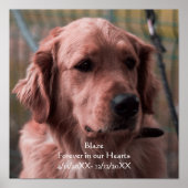 Personalisieren Sie Foto-Pet-Memorial Keepake Poster (Vorne)