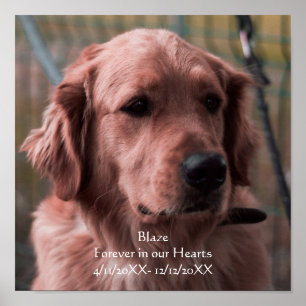 Personalisieren Sie Foto-Pet-Memorial Keepake Poster