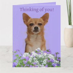 Personalisieren Sie große Doggie "Ich denke an Sie Karte