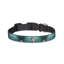 Personalisieren Sie Ihr Green Dog Halsband mit ein