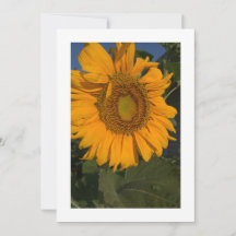 Personalisieren Sie Ihre Karteneinladung individue