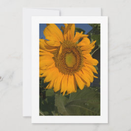 Personalisieren Sie Ihre Karteneinladung individue Einladung