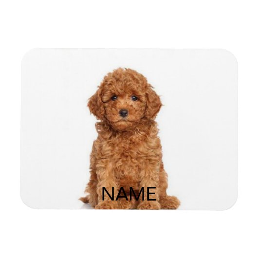 Personalisieren Sie Ihre persönlichen Daten mit Fo Magnet (Horizontal)