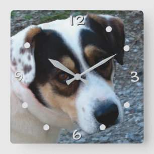 Personalisieren Sie mit Ihrer eigenen Pet-Wanduhr Quadratische Wanduhr