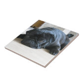 Personalisieren Sie niedlichen schwarzen Mops Welp Fliese (Seite)