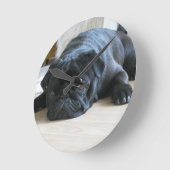 Personalisieren Sie niedlichen schwarzen Mops Welp Runde Wanduhr (Winkel)