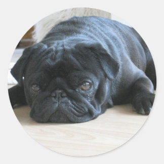 Personalisieren Sie niedlichen schwarzen Mops Welp Runder Aufkleber