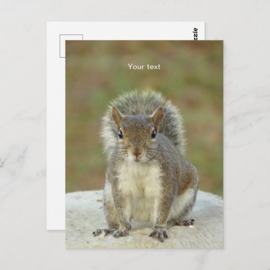 Personalisieren Sie Niedliches Eichhörnchen von An Postkarte (Vorne/Hinten)