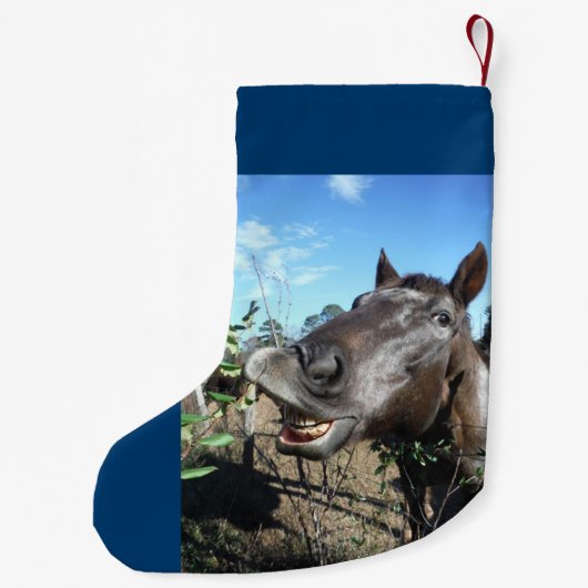 Personalisieren Sie sich mit Name, Funny Gesicht W Kleiner Weihnachtsstrumpf (Rückseite)