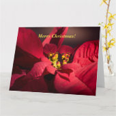 Personalisieren Sie Weihnachten Rote Poinsettia in Karte (Gelbe Blume)