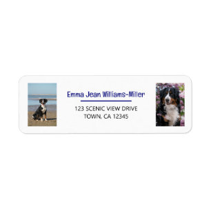 Personalisieren von Fotos mit Hund Moderne Rücksen