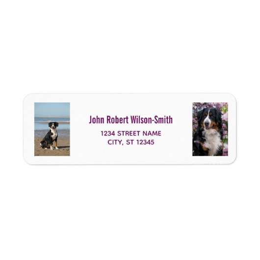 Personalisieren von Fotos mit Hund Moderne Rücksen (Vorne)